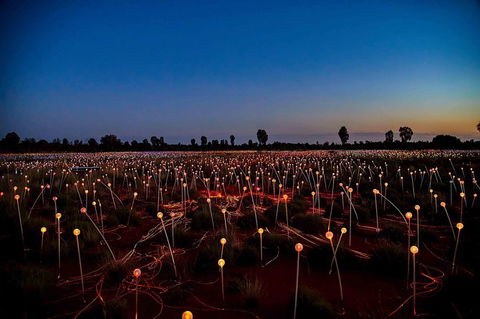 Uluru & Kata Tjuta Sights & Sounds - Lightning Ridge Tourism 8