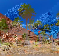Palm Valley 4WD Tour from Alice Springs - Lightning Ridge Tourism