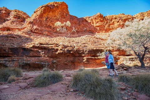 Coach Transfer From Ayers Rock To Kings Canyon - Lightning Ridge Tourism 7