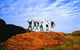 3-Day Uluru Adventure Explorer - thumb 0