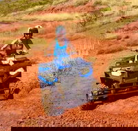 Aussie Outback Air and Land Tour Including Quad Bike Ride - Lightning Ridge Tourism