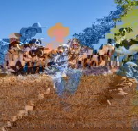 Skip-the-Line Katherine Outback Experience Show Ticket - Lightning Ridge Tourism