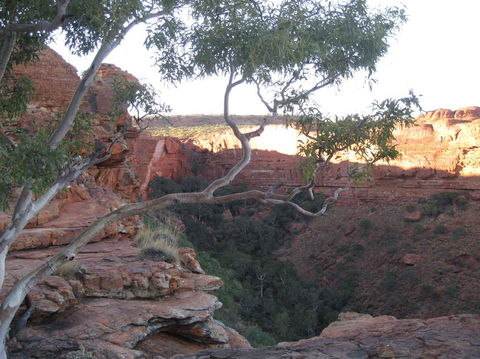 3-Day Uluru And Kings Canyon Camping Experience From Alice Springs Including Outback BBQ Dinner - Lightning Ridge Tourism 1