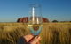 3-Day Ayers Rock, Olgas And Kings Canyon Camping Safari - thumb 5