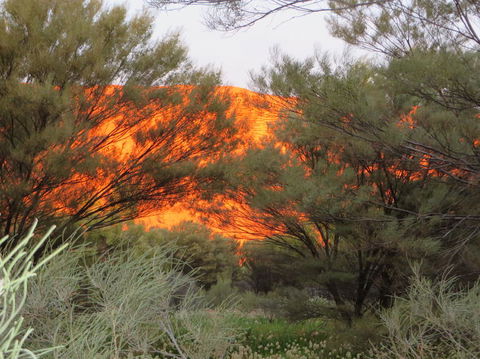 3-Day Ayers Rock, Olgas And Kings Canyon Camping Safari - Lightning Ridge Tourism 6