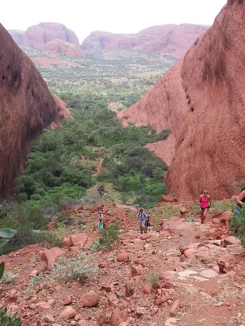 3-Day Ayers Rock To Alice Springs Camping Tour Including Kings Canyon, Kata Tjuta And Uluru - Lightning Ridge Tourism 7
