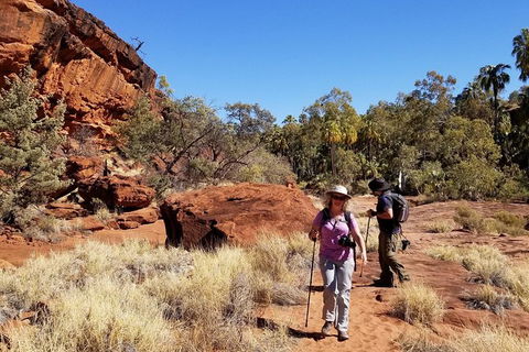 Palm Valley And Hermannsburg 1 Day 4WD Tour - Lightning Ridge Tourism 5