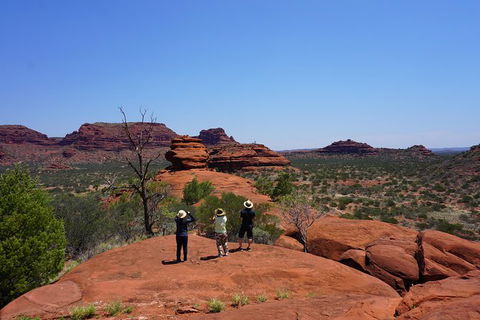 Palm Valley And Hermannsburg 1 Day 4WD Tour - Lightning Ridge Tourism 2