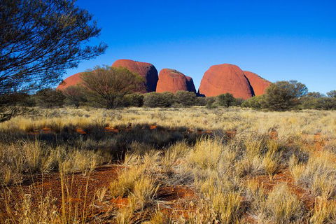 Kata Tjuta Sunrise And Valley Of The Winds Half-Day Trip - Lightning Ridge Tourism 11