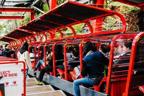 All-Inclusive Blue Mountains Day Trip With River Cruise - Lightning Ridge Tourism 7
