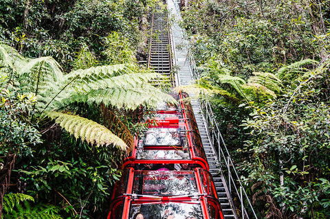 All-Inclusive Blue Mountains Day Trip With River Cruise - Lightning Ridge Tourism 6