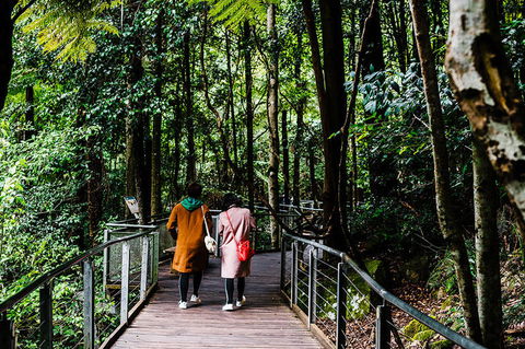 All-Inclusive Blue Mountains Day Trip With River Cruise - Lightning Ridge Tourism 10
