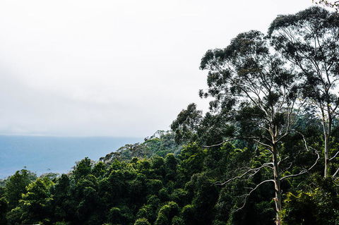 All-Inclusive Blue Mountains Day Trip With River Cruise - Lightning Ridge Tourism 18