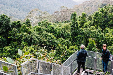 All-Inclusive Blue Mountains Day Trip With River Cruise - Lightning Ridge Tourism 2