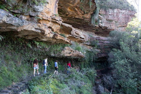 All-Inclusive Blue Mountains Day Trip With River Cruise - Lightning Ridge Tourism 38