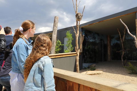 All-Inclusive Blue Mountains Day Trip With River Cruise - Lightning Ridge Tourism 23