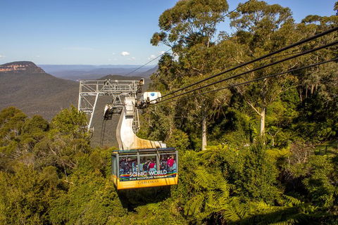 All-Inclusive Blue Mountains Day Trip With River Cruise - Lightning Ridge Tourism 39