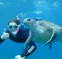 3-Hour Sea Turtle Snorkeling Experience in Byron Bay - Lightning Ridge Tourism