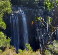 Byron Bay Hinterland Tour Including Rainforest Walk to Minyon Falls - Lightning Ridge Tourism