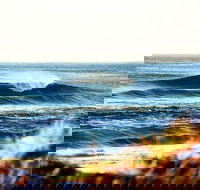 7-Day Byron Bay Evans Head and Moonee Beach Surf Safari from Brisbane Gold Coast or Byron Bay - Lightning Ridge Tourism