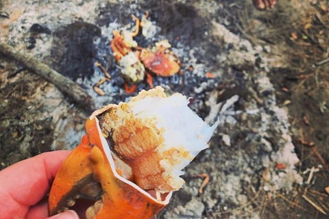 Pot To Plate Adventure - Lightning Ridge Tourism 4