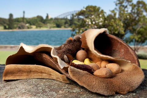 Aboriginal Heritage Tour At The Royal Botanic Garden Sydney - Lightning Ridge Tourism 7
