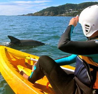 Byron Bay Combo Hinterland Tour Including Minyon Falls and Kayaking with Dolphins - Lightning Ridge Tourism