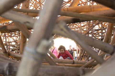 A Full Day In Sydney With A Local: Private & Personalized - Lightning Ridge Tourism 5