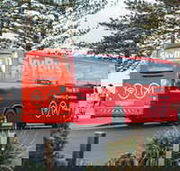 SkyBus Byron Bay Express - Lightning Ridge Tourism
