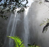 Minyon Falls Rainforest Walk - Lightning Ridge Tourism