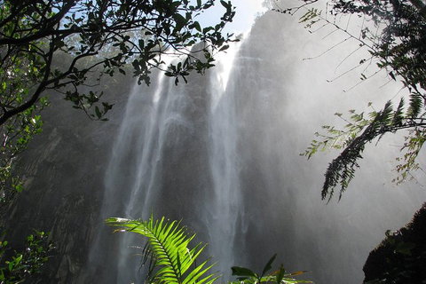 Minyon Falls Rainforest Walk - Lightning Ridge Tourism 0