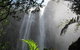 Minyon Falls Rainforest Walk - thumb 2