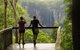 Minyon Falls Rainforest Walk - thumb 5