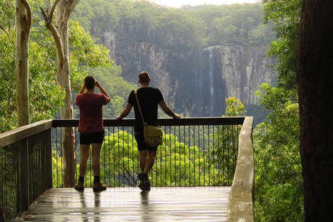 Minyon Falls Rainforest Walk - Lightning Ridge Tourism 5