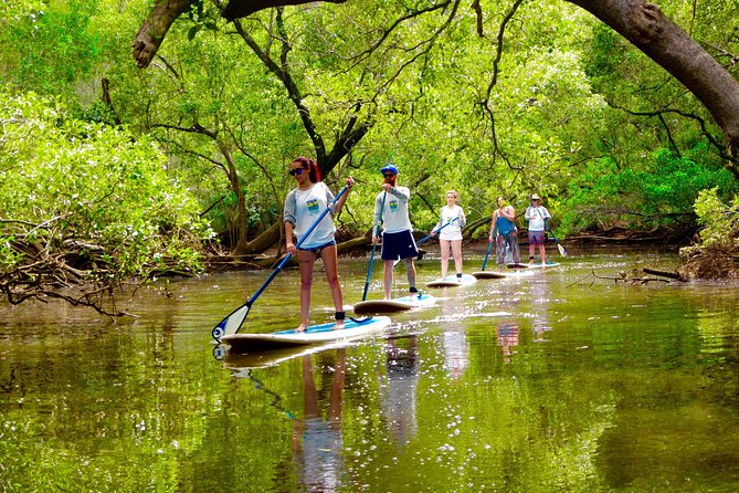 Myocum ACT Lightning Ridge Tourism
