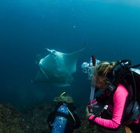 5-Hour Byron Bay Introductory Scuba Diving Tour - Lightning Ridge Tourism