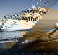 Jervis Bay Dolphin Watch Cruise - Lightning Ridge Tourism