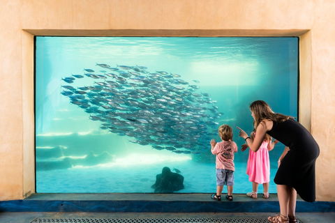 AQWA The Aquarium Of Western Australia - Lightning Ridge Tourism 0