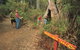 Bibbulmun Track - thumb 1