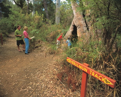 Bibbulmun Track - Lightning Ridge Tourism 1