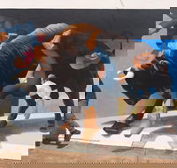 Big Bull Mural - Lightning Ridge Tourism