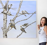 Bingara Gallery - Lightning Ridge Tourism
