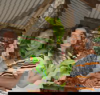 Birdworld Kuranda - Lightning Ridge Tourism