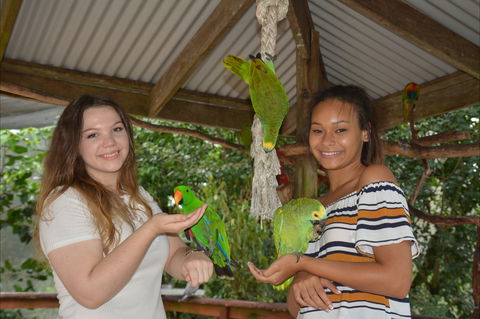 Birdworld Kuranda - Lightning Ridge Tourism 0