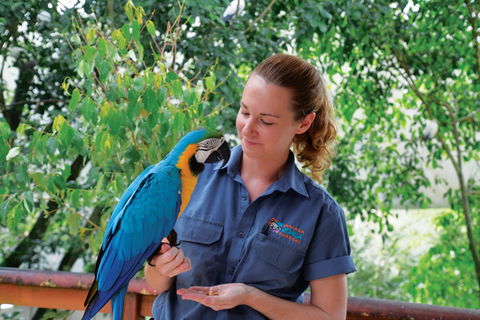 Birdworld Kuranda - Lightning Ridge Tourism 1