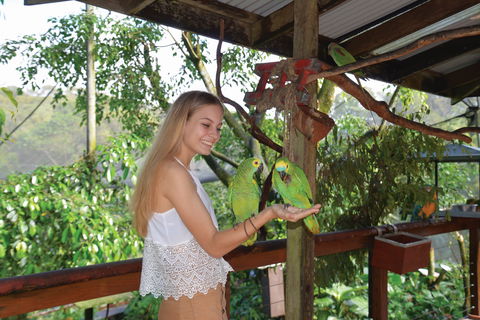 Birdworld Kuranda - Lightning Ridge Tourism 2