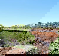 Bladensburg National Park - Lightning Ridge Tourism