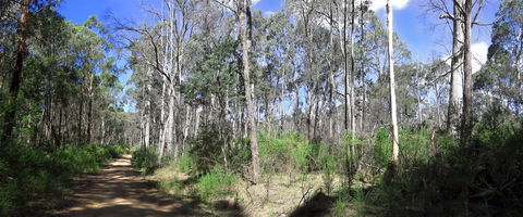 Blue Range Camping And Picnic Area - Lightning Ridge Tourism 1