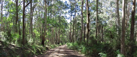Blue Range Camping And Picnic Area - Lightning Ridge Tourism 2
