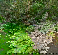 Brindle Creek Walking Track - Lightning Ridge Tourism